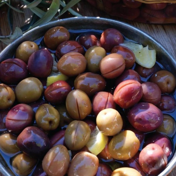 Pembe Çizik Zeytin